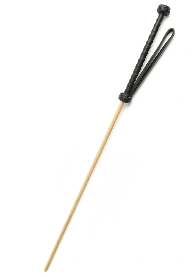 The Obedience Cane