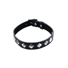 Adjustable collar