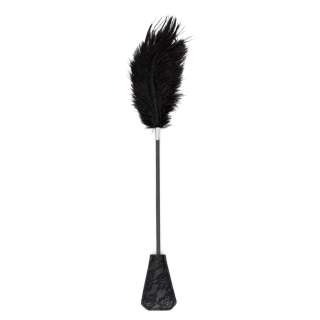 Fetish B-Series Tickler & Whip 1.0