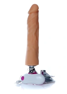 Realistyczny wibrator 26 cm pilot przyssawka 12 trybów – Mr. Perfect