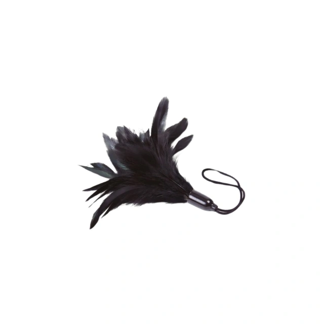 Feather Tickler Black - Prestiżowe Pióra Adrien Lastic