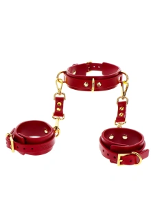 Kajdanki Na Ręce Z Obrożą D-Ring Collar And Wrist Cuffs Taboom | 100% ORYGINAŁ| DYSKRETNA PRZESYŁKA