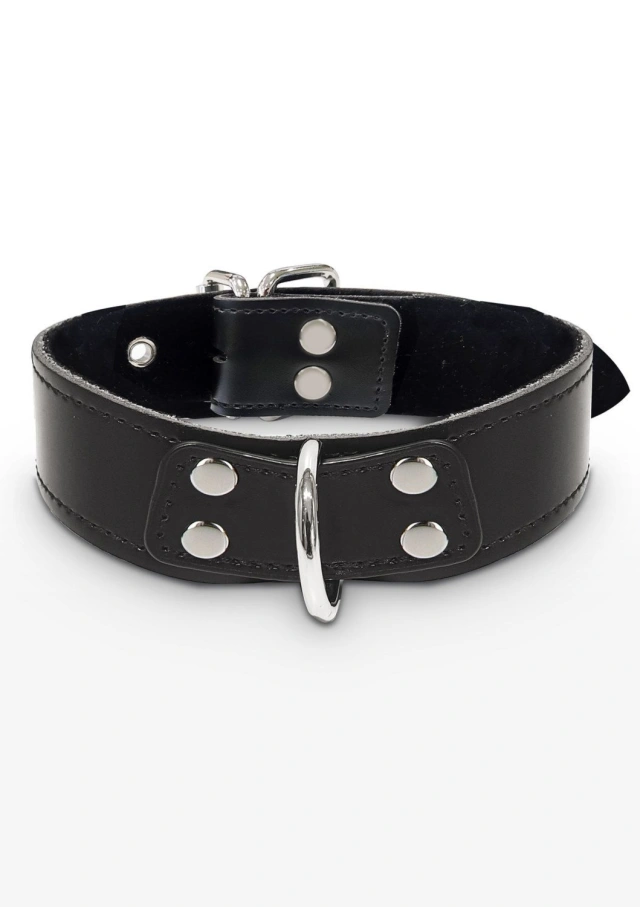 Obróżka Elegant D-Ring Collar Black Taboom | 100% ORYGINAŁ| DYSKRETNA PRZESYŁKA