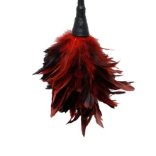 Piórka Do Łaskotania Fetish Fantasy Frisky Feather Duster Red Pipedream | 100% ORYGINAŁ| DYSKRETNA PRZESYŁKA