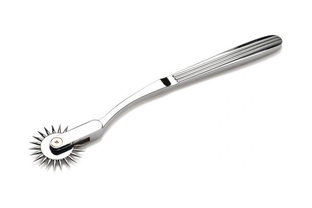 Master Series - Wartenberg Wheel Silver