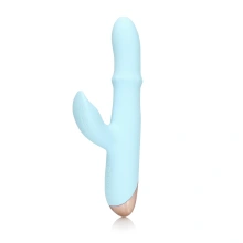 Pulse Wave and Up-and-Down Moving Ring Vibrator