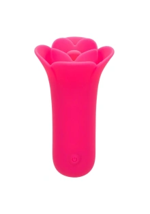 Lily Licker Mini Flower Flicker